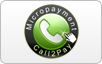 Teamspeak Server mieten Call2Pay Telefon